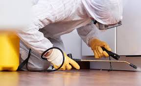 Best Pest Prevention Services  in Manhattan, KS